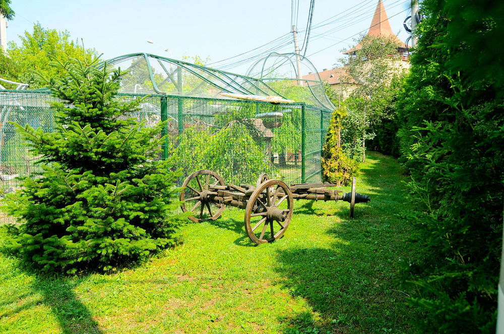 Pension La Cupola Тыргу-Муреш Экстерьер фото
